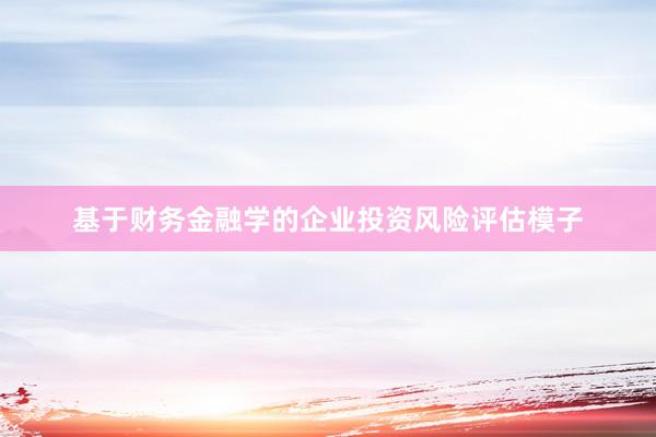 基于财务金融学的企业投资风险评估模子